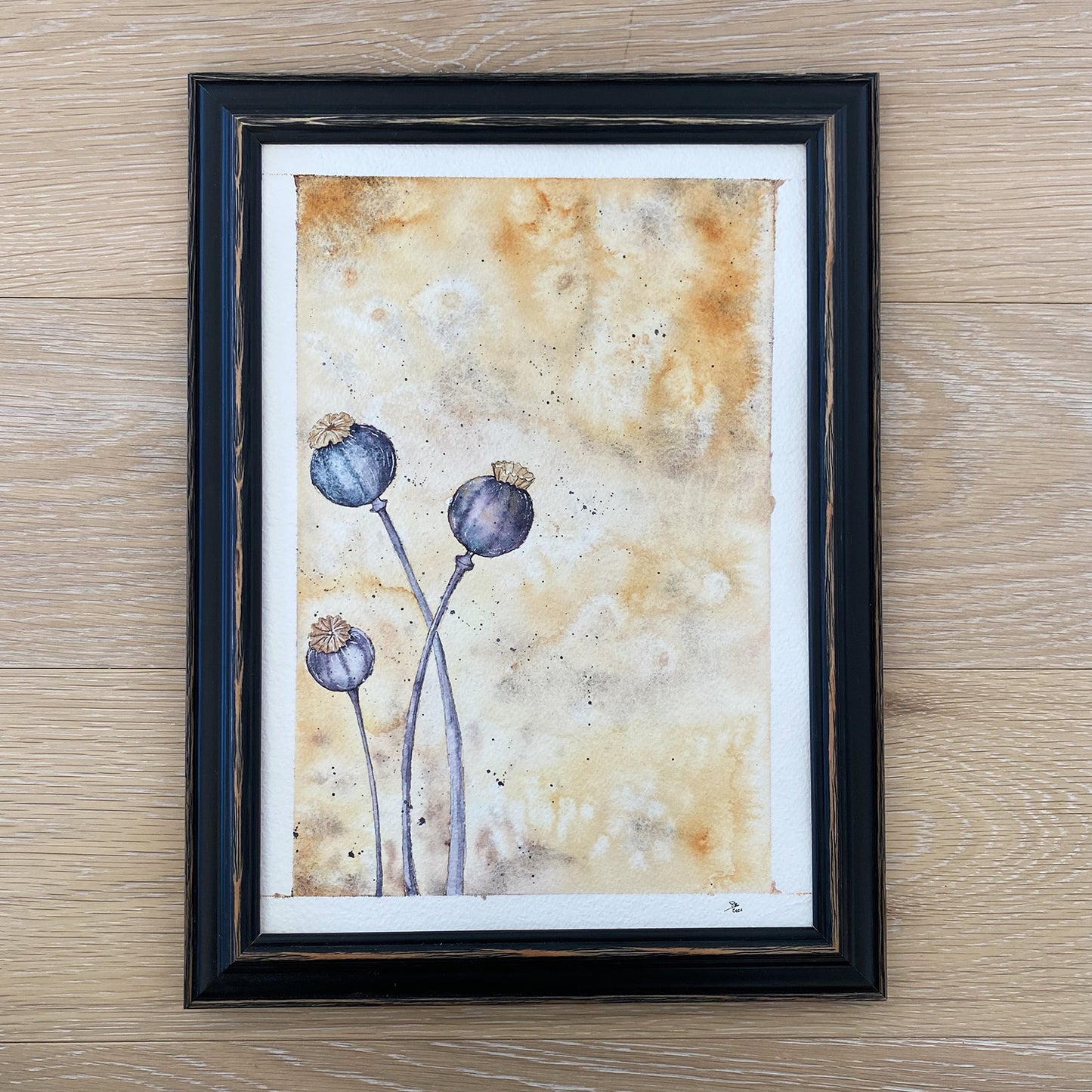 soquarelle - illustration - aquarelle – boutique en ligne - floral - Suisse - illustratrice - botanique - fleurs - nature - pavots