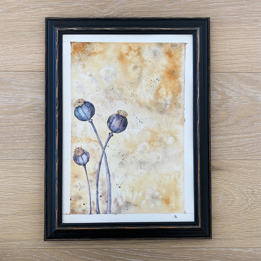 soquarelle - illustration - aquarelle – boutique en ligne - floral - Suisse - illustratrice - botanique - fleurs - nature - pavots