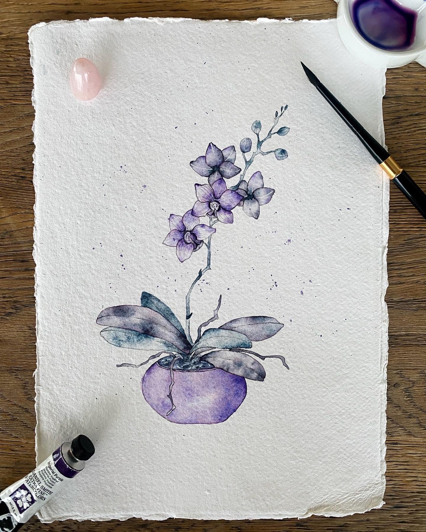 soquarelle - illustration - aquarelle - floral - Suisse - illustratrice - botanique - fleurs - nature - orchidée – plante