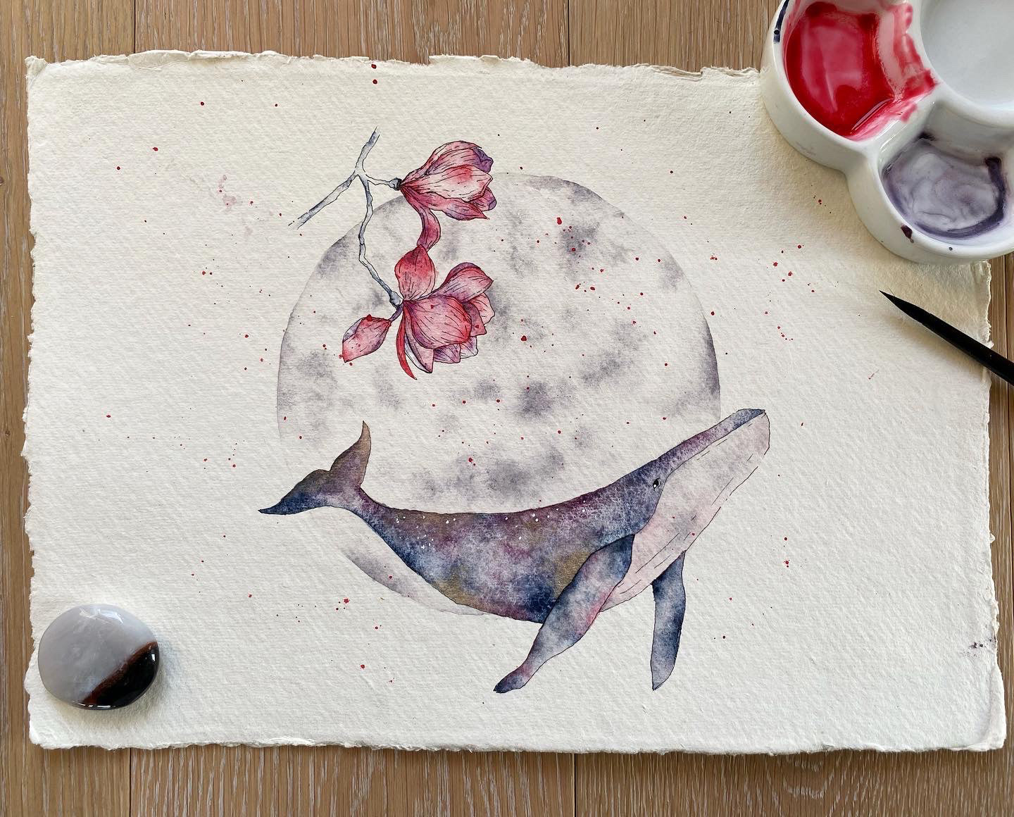 soquarelle - illustration - aquarelle - floral - Suisse - illustratrice - botanique - fleurs - nature - baleine – lune - magnolias