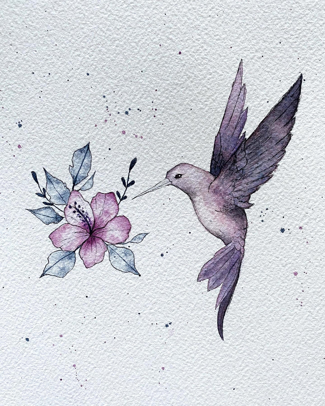 soquarelle - illustration - aquarelle - floral - Suisse - illustratrice - botanique - fleurs - nature - colibri –