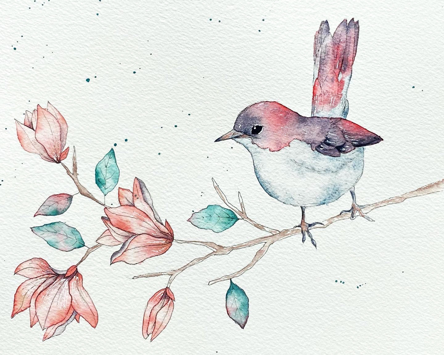 soquarelle - illustration - aquarelle - floral - Suisse - illustratrice - botanique - fleurs - nature - oiseau – branche d'arbre - magnolia - printemps