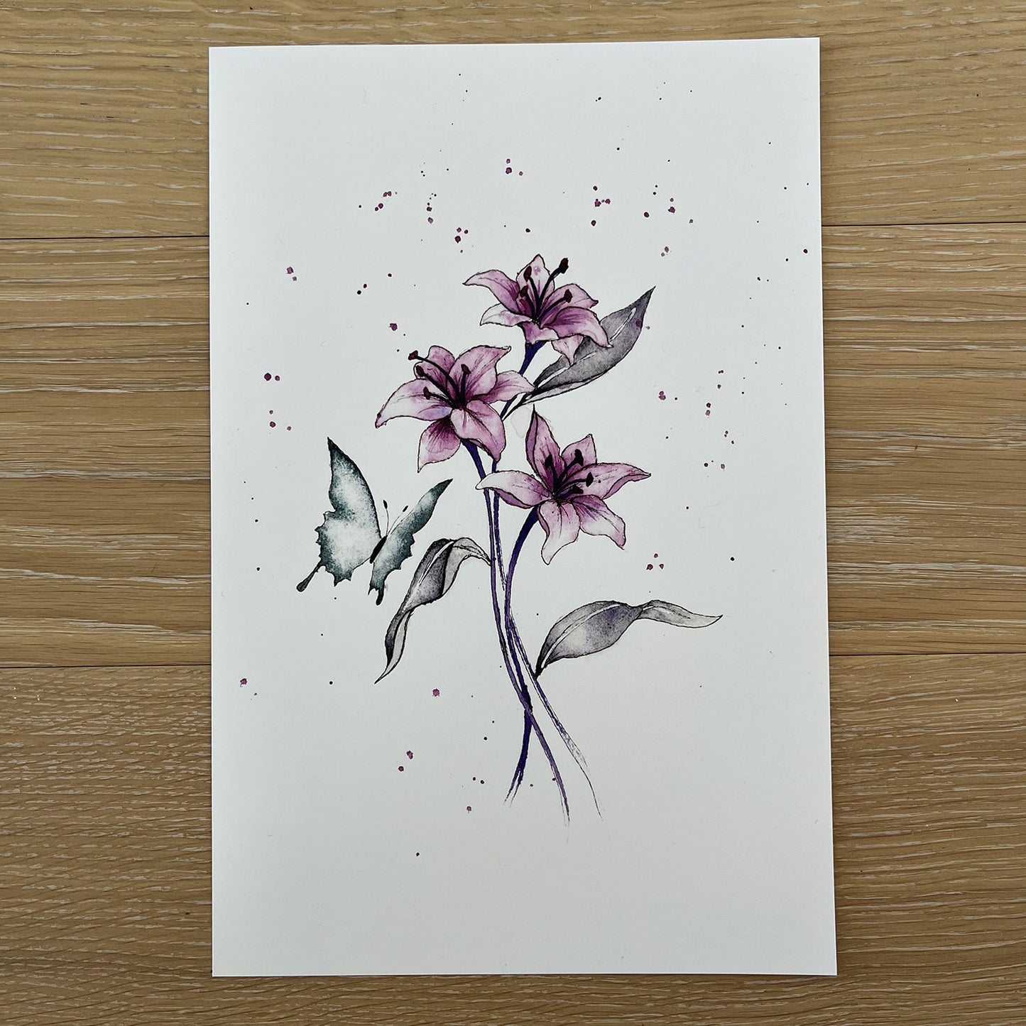 soquarelle - illustration - aquarelle – boutique en ligne - floral - Suisse - illustratrice - botanique - fleurs - nature - papillon 